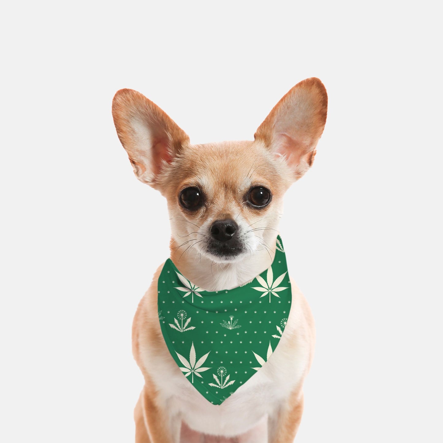 Weeds - small pet bandana (green)