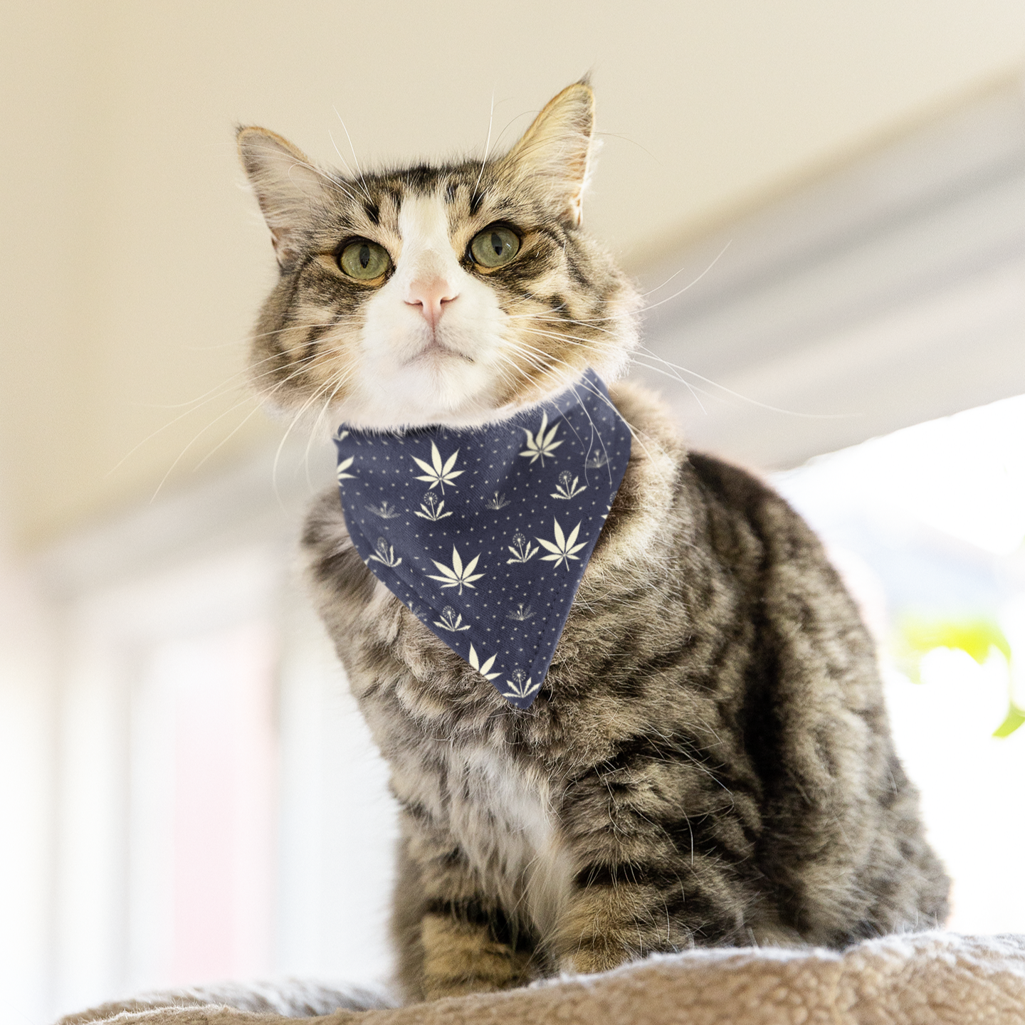 Weeds - small pet bandana (blue)