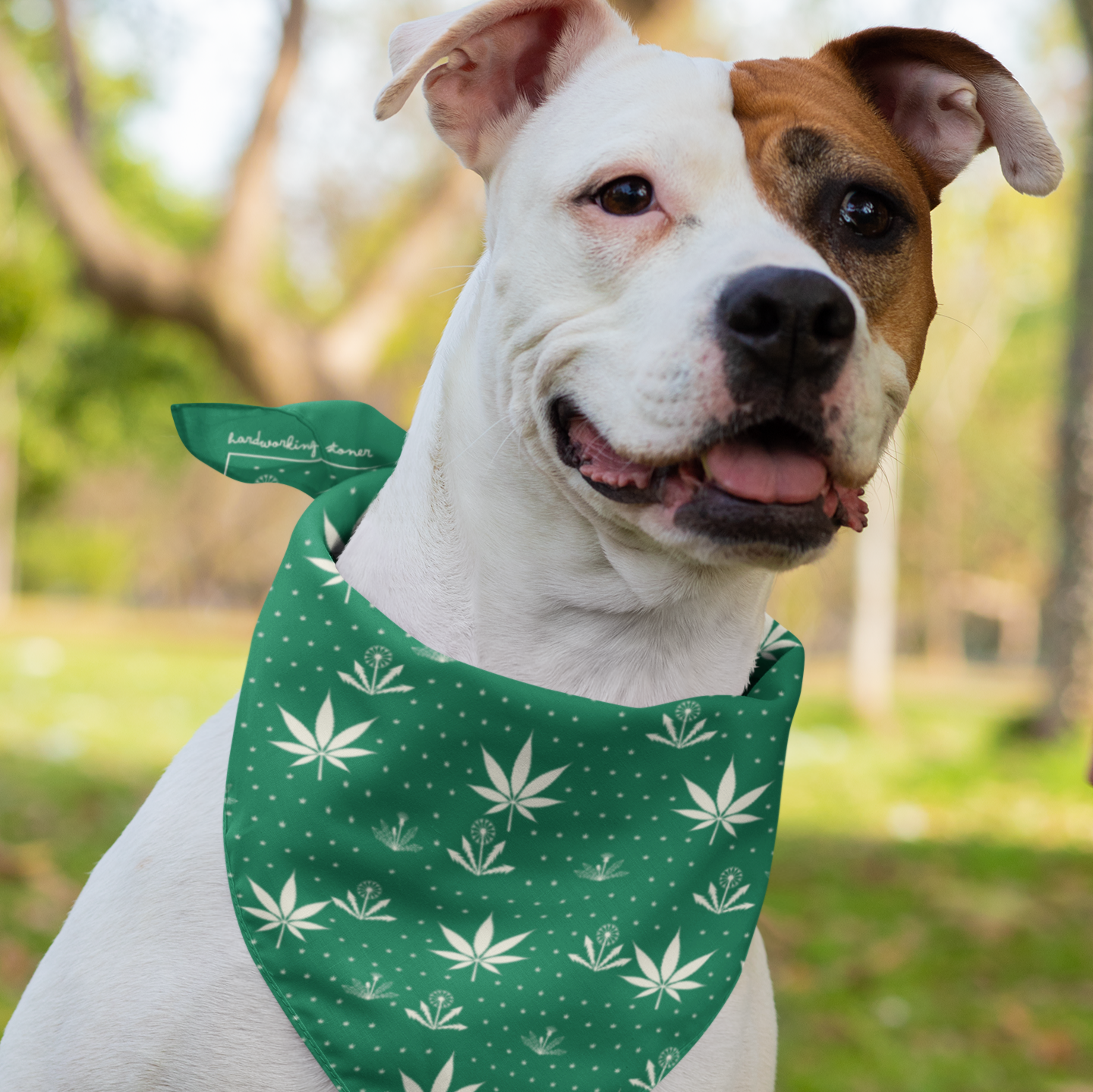 Weeds - pet bandana (green)