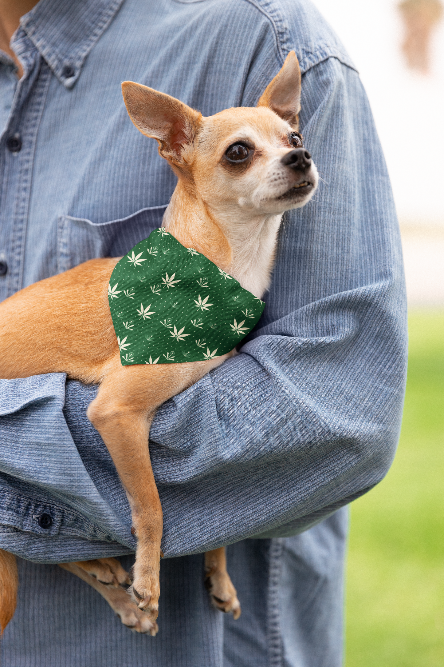 Weeds - small pet bandana (green)