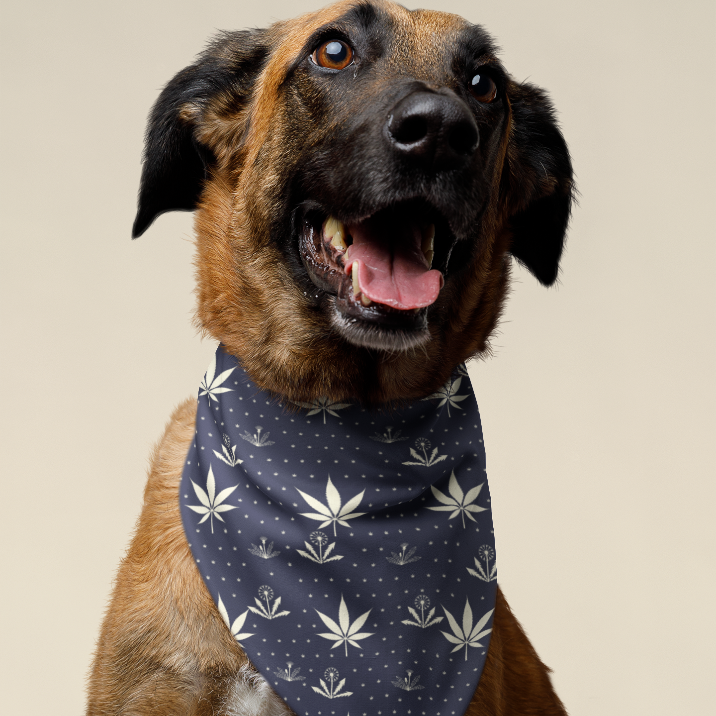 Weeds - pet bandana (blue)